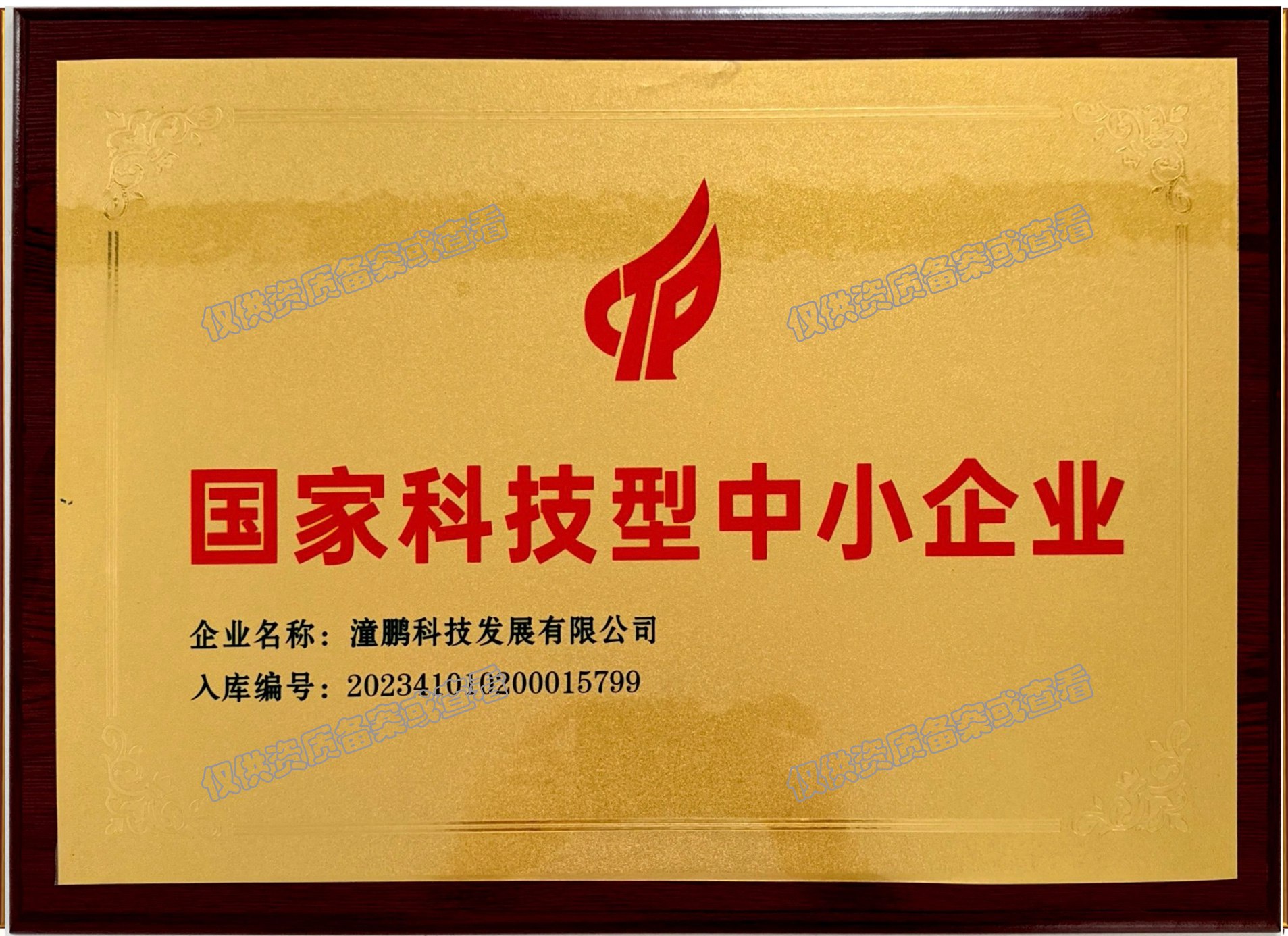 其他-国家科技型中小企业 其他-国家科技型中小企业